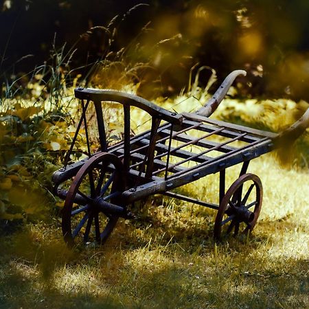 Le Chateau De Sorgues Cornus Dış mekan fotoğraf