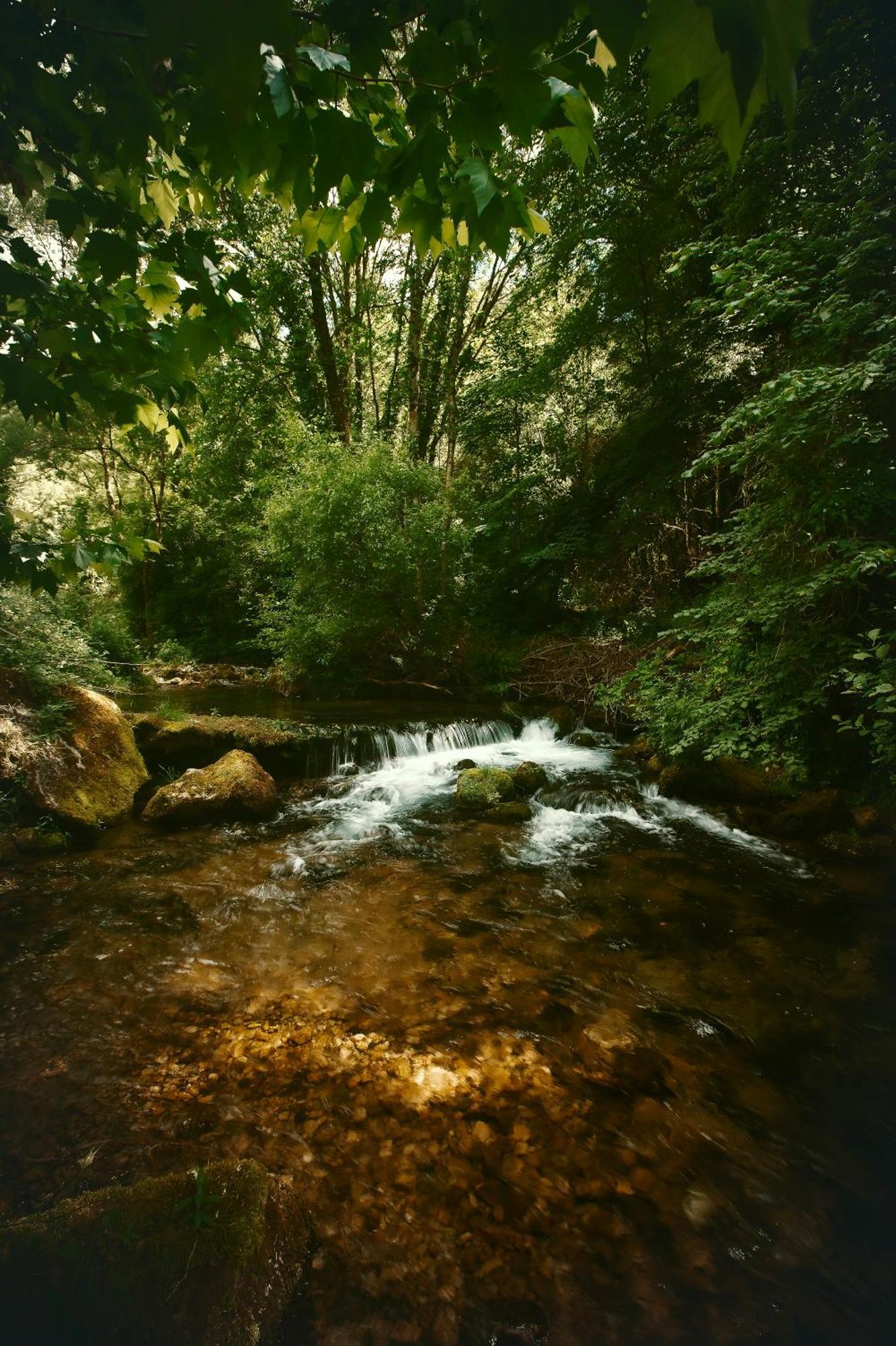 Le Chateau De Sorgues Cornus Dış mekan fotoğraf